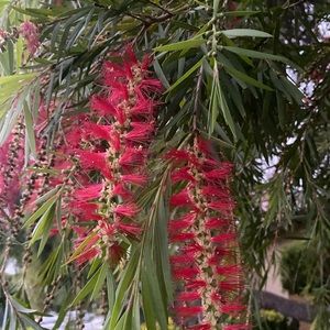 Meet your Posher, Elena